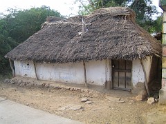 IMG_2777 one of the older houses roofed with coconat leafs